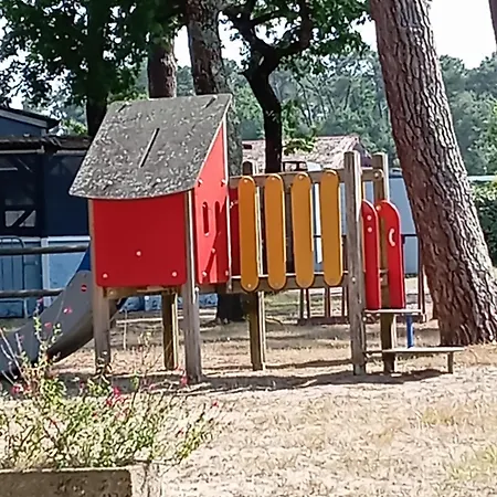 Les Oyats Soulac-sur-Mer