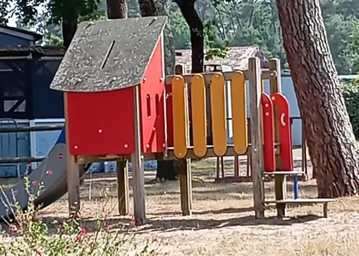 Les Oyats Soulac-sur-Mer